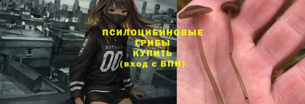 ECSTASY Богородск