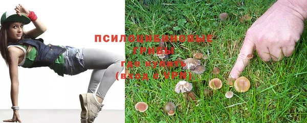 бошки Богородицк