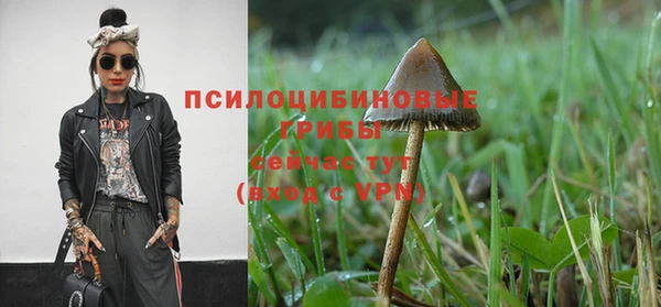мдма Богданович