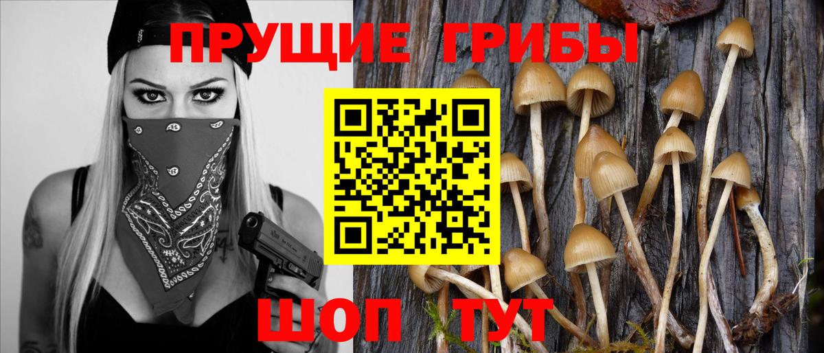 Псилоцибиновые грибы Psilocybe  Вход с VPN  Верхний Уфалей  Псилоцибиновые грибы Magic Shrooms 